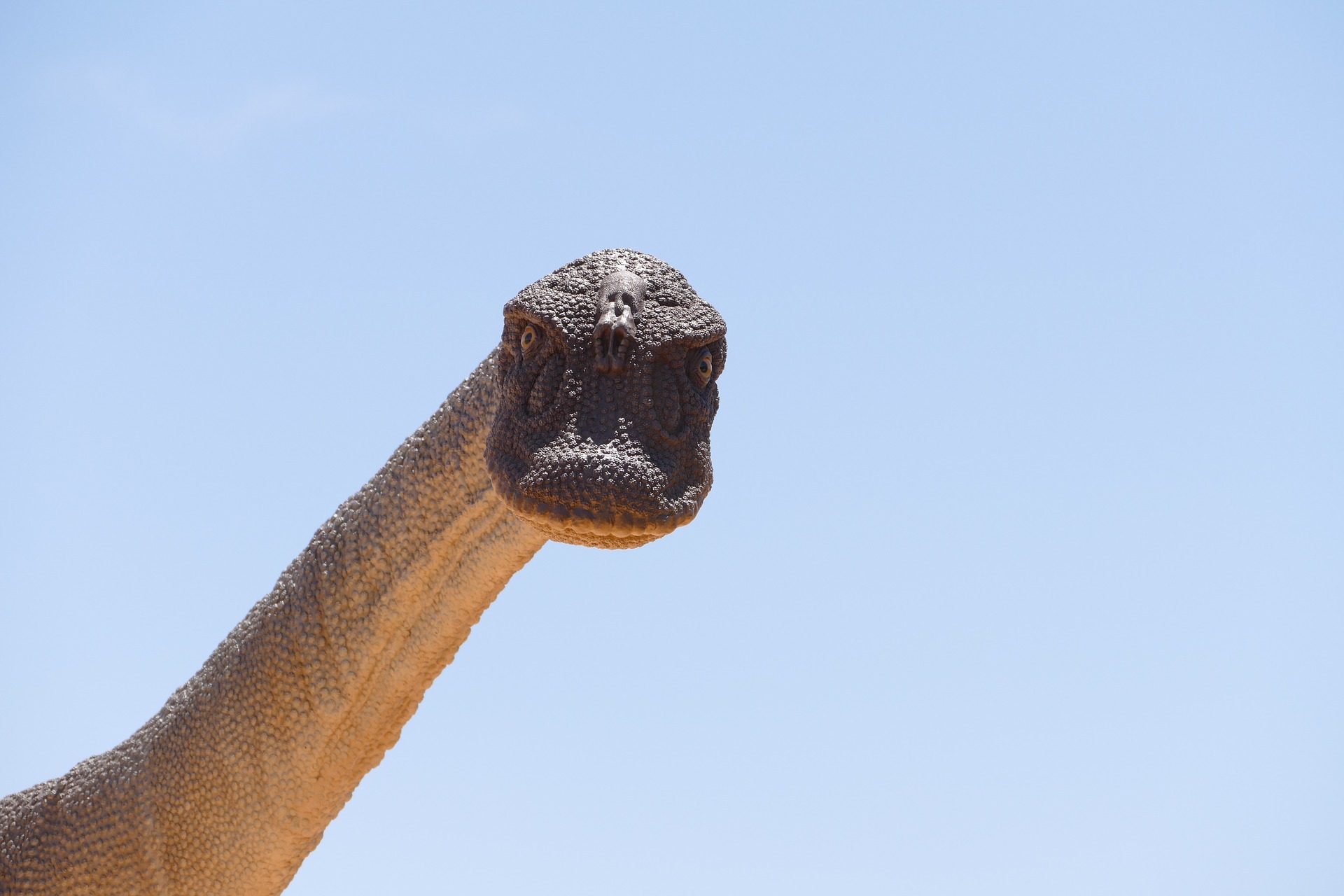 Mokele-Mbebe Sauropod Last Surviving Dinosaur Image Header